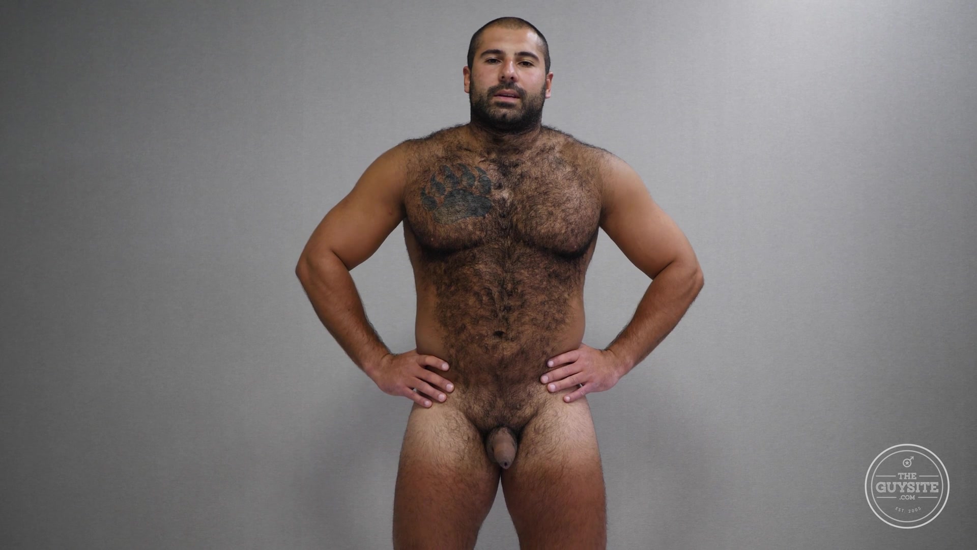 Bear nude